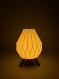 Geometric Lamp Shade